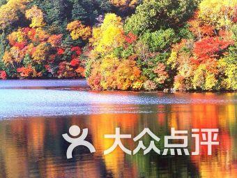 多吃糖危害竟这么大?5招让你少吃糖