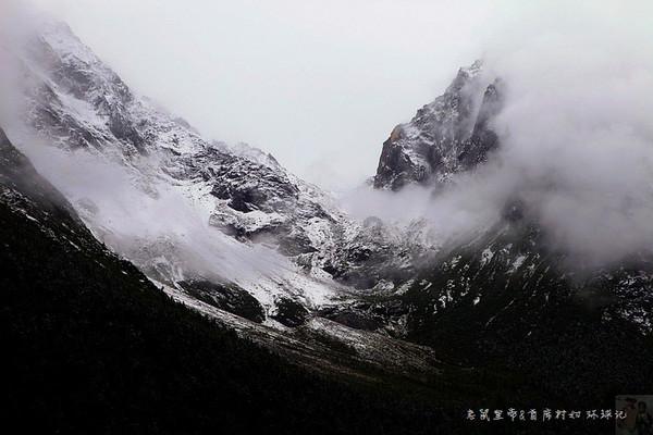 幻境森林大逃生