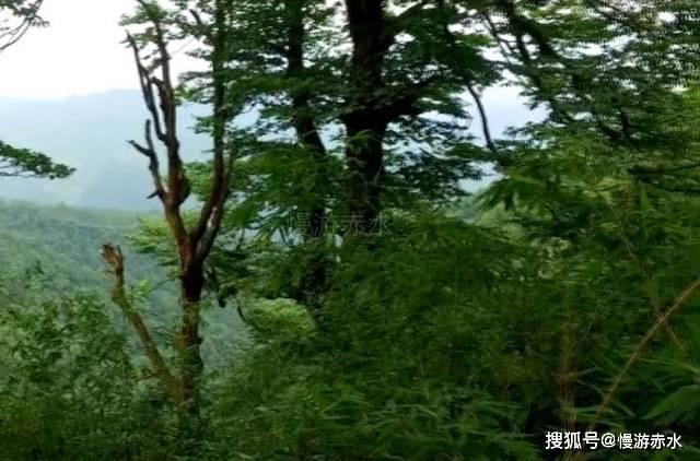 别太相信贬低你的话
