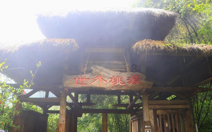 超能动物联盟