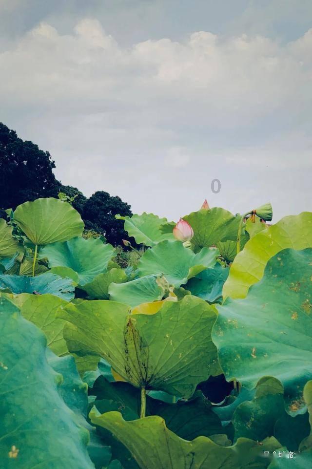 树牢底线意识,强化责任担当!兰州市各县区各部门部署启动安全生产大排查大整治“百日攻坚”行动