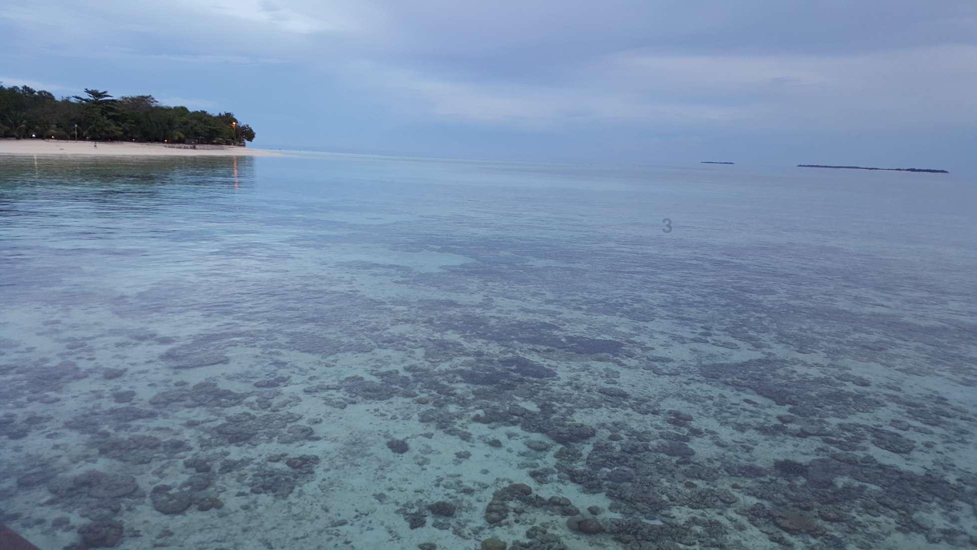 海岛冲浪