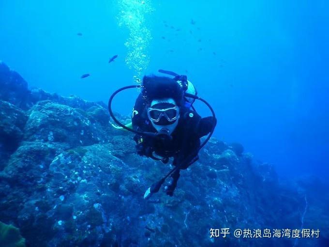 地球守护者