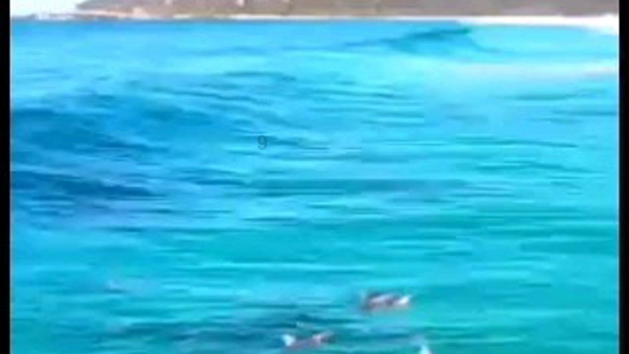 年味渐浓，南北热闹备年货