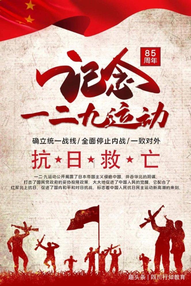 五彩鹦鹉救援