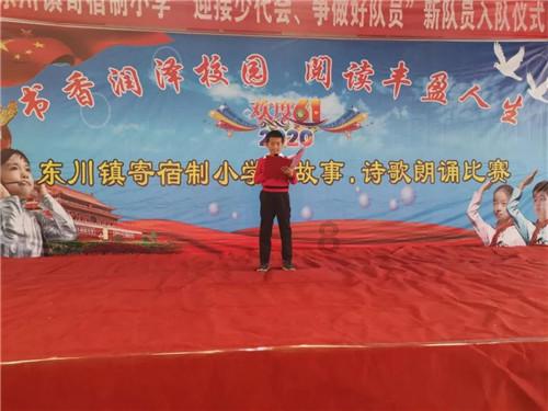 强大的狮子拼图