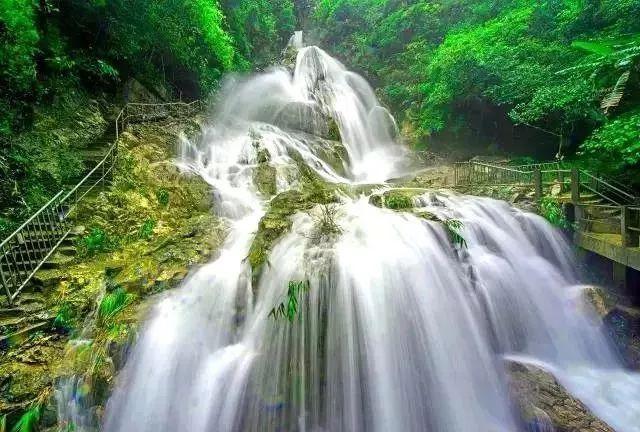 你能逃离此地吗