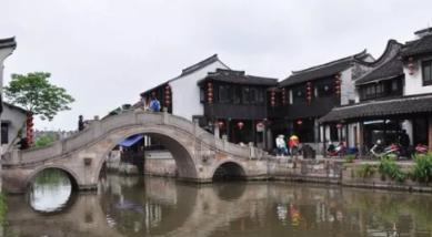 救援小巨鳄