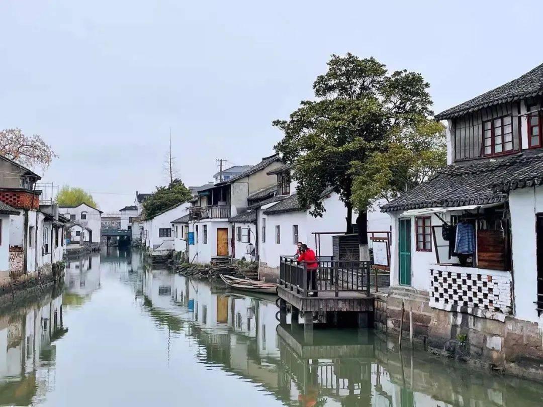 精灵格蕾